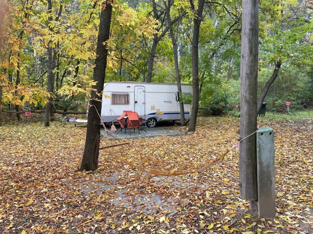 Tisza-Beach Wild Camping 5 Сегед Екстер'єр фото