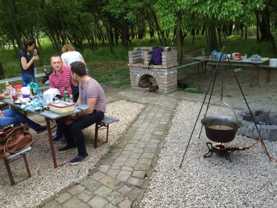 Tisza-Beach Wild Camping 5 Сегед Екстер'єр фото