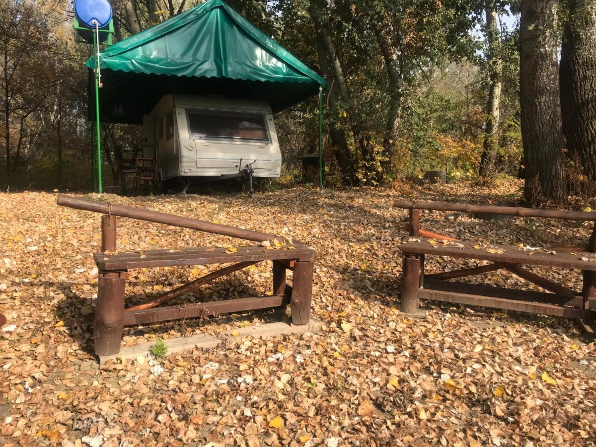 Tisza-Beach Wild Camping 5 Сегед Екстер'єр фото